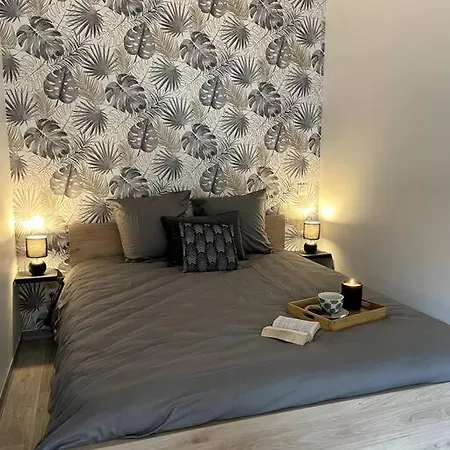 Apartment Bel Sur Cour Plein Centre Et Parking *